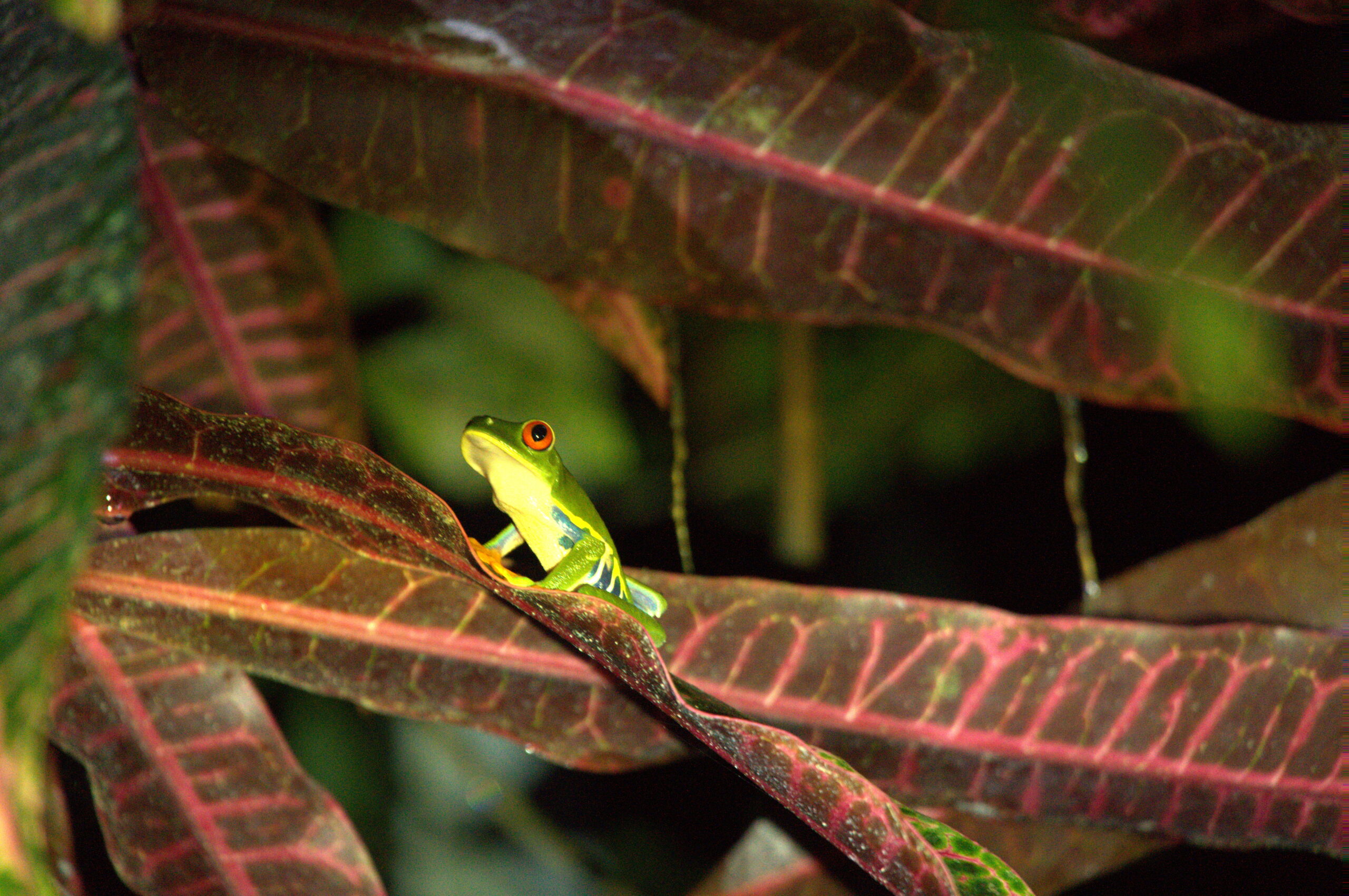 where to stay in costa rica