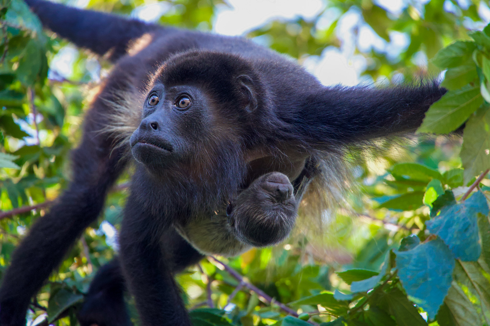 Planning My 2-Week Costa Rica Road Trip: Route, Car Rental and Itinerary