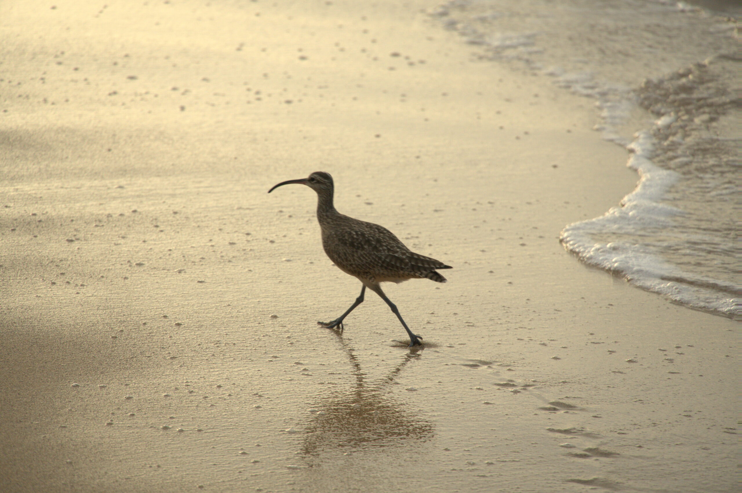 costa rica travel mistakes