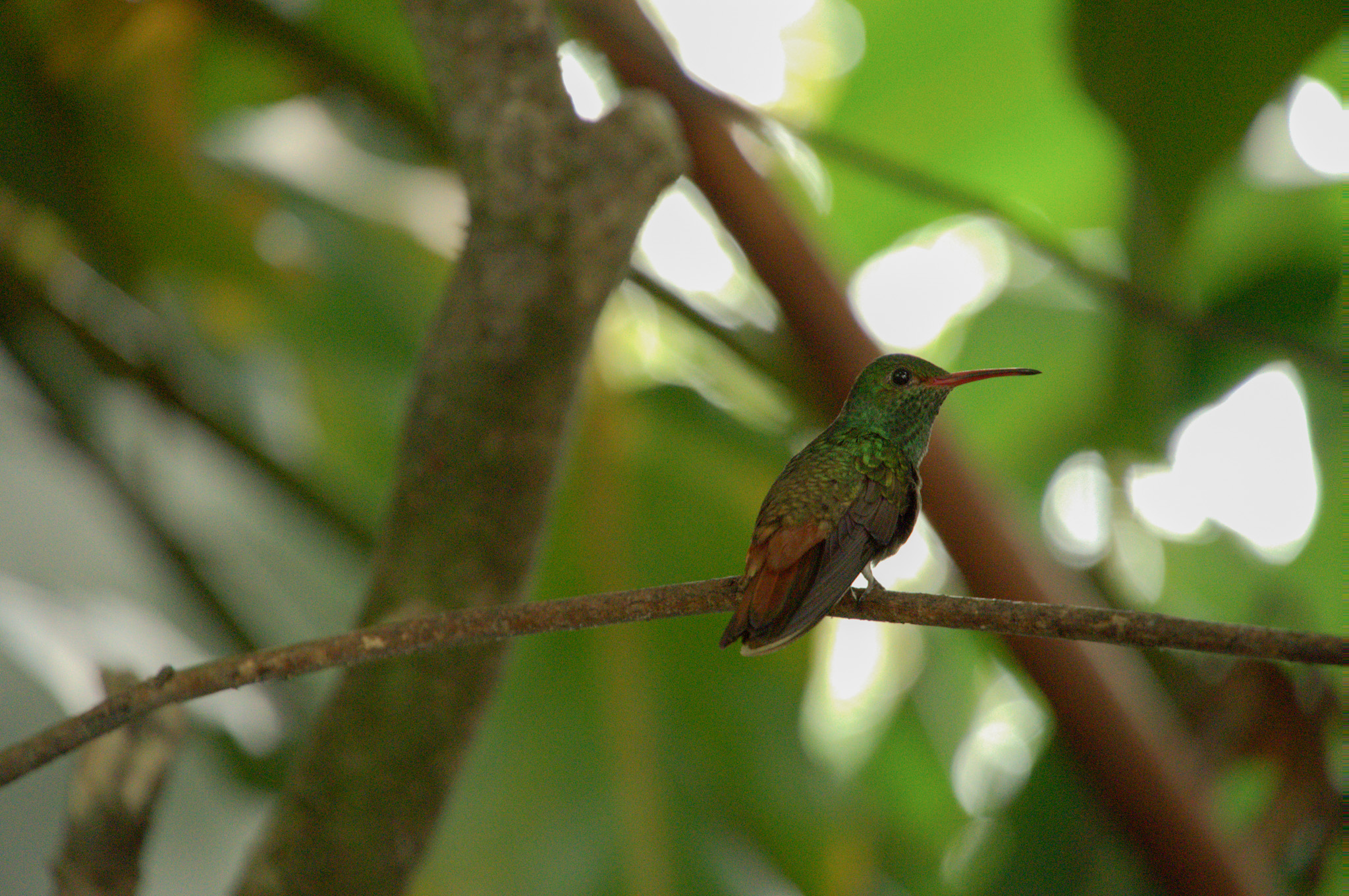 DSC00959 (1) 2