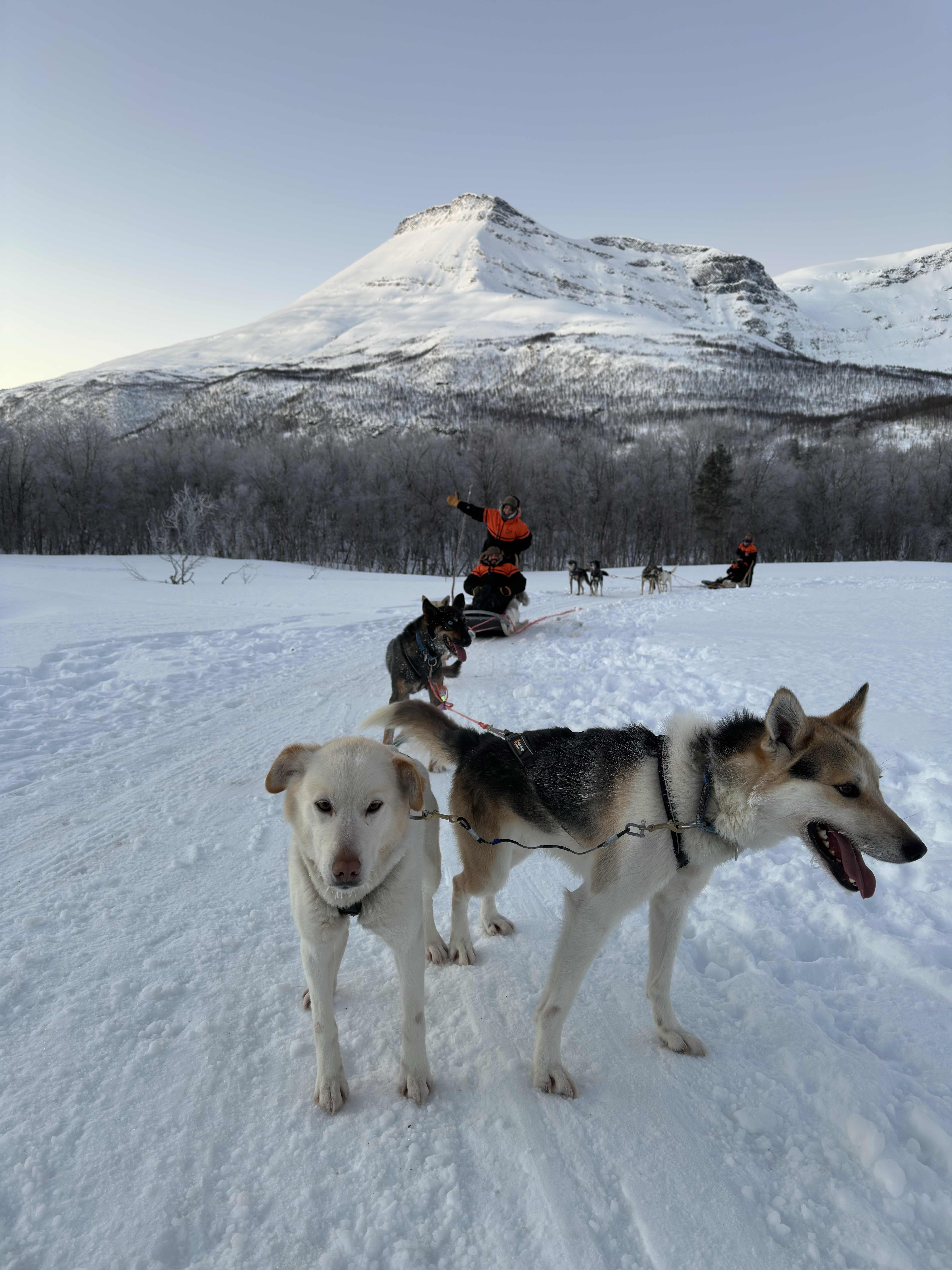 what to pack for tromsø