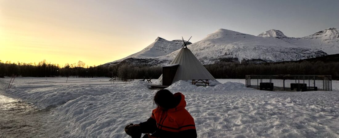 how expensive is tromsø