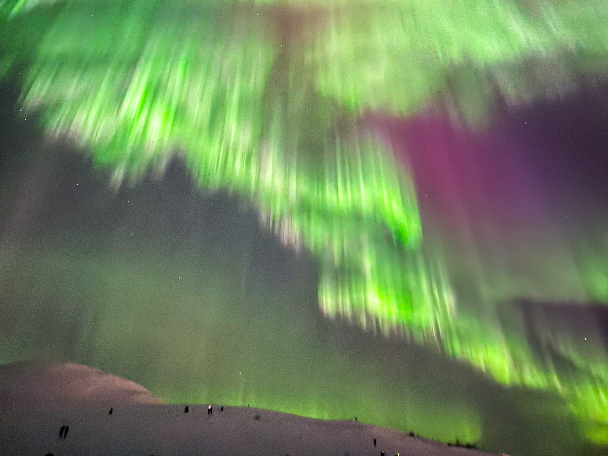 4 Activities We Did in Tromsø (Ranked From Best to Worst)
